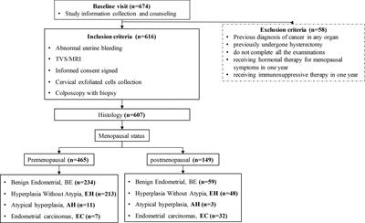 Hypermethylated CDO1 and CELF4 in cytological specimens as triage strategy biomarkers in endometrial malignant lesions